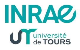 Logo INRAE - Université